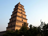 the Big Wild Goose Pagoda