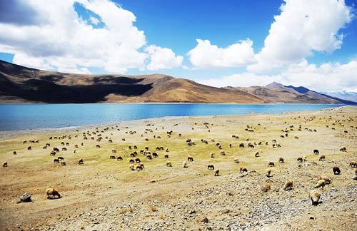 tibet lhasa day trip, Yamdok Lake