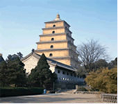 Wild Goose Pagoda