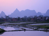 Yuyuan Garden