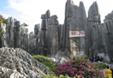 China City Tours, kunming City Tours, Stone Forest