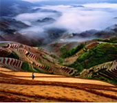 Longji Terraces