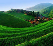 Longji Terraces